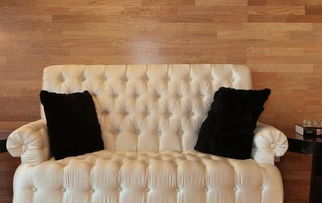 从留学生到行业翘楚 一位创业者在英国家具电商领域的崛起之路